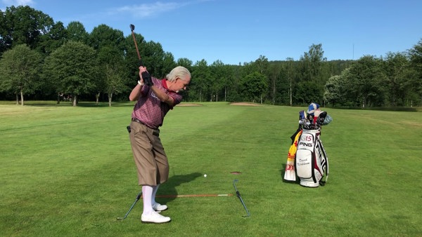 Måndagsinlägget den 29 juni