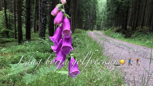 Monday update från Hulta! V28