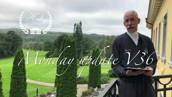 Monday update V36